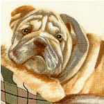 Loveable Bulldog Scenes on Cream