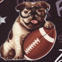 Team Spirit - Tossed Bulldogs and Footballs