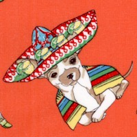 Cinco de Mayo - Cha Cha Chihuahua!
