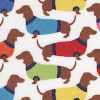 DOG-dachshunds-AA152