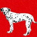 Hook & Ladder - Dalmatian Dogs on Red