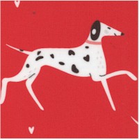 DOG-dalmatians-Z812