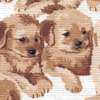 Precious Puppies on Cream