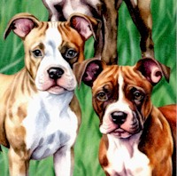 Handsome Pit Bulls on Grass