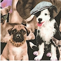 Petpourri - Adorable Dog Group Portrait -BACK IN STOCK!