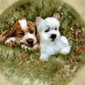 Dog Days - Adorable Puppies in Round Frames