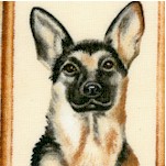 Faithful Friends - Small Scale Canine Portraits