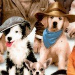 Petpourri - Adorable Dog Group Portrait #2