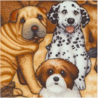 Its a Ruff Life - Doggie Group Portrait by Dan Morris