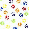 Colorful Miniature Pawprints on White - LTD. YARDAGE AVAILABLE