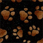 Brown Paw Prints on Black