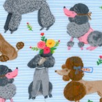 Ooh La La - Stylish Poodles on Blue by Carolyn Gavin