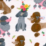 Ooh La La - Stylish Poodles on Pink by Carolyn Gavin