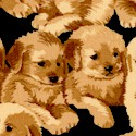 Picture This - Rows of Adorable Puppies on Black