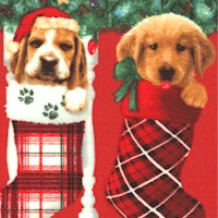 Fireside Pups - Christmas Puppy Vertical Stripe by Robert Giordano