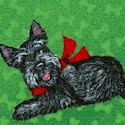 DOG-scotties-S658