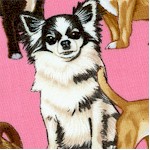 Ay, Chihuahua! Dogs on Pink - LTD. YARDAGE AVAILABLE