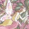 Rose & Hubble Garden Fairies in Mauve