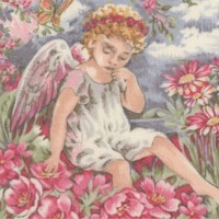 Sweet Dreams -  Angel Portraits Framed in Flowers