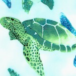 Aquatic - Watercolor Turtles