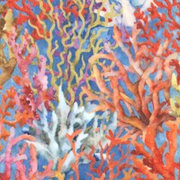 Calypso - Colorful Coral by Jason Yenter
