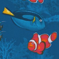 FISH-clownfish-R303