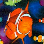 Lifes a Beach - Rainbow Clownfish