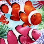 FISH-clownfish-Y890