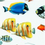 Coral Reef -  Digital Real Salt Water and Marine Fish on Ivory