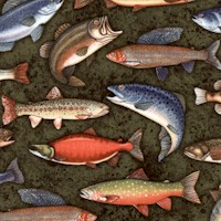 Copper Ridge - Freshwater Fish on Green by Dan Morris