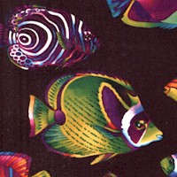 FISH-fish-CC320