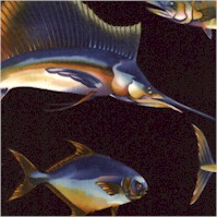 FISH-fish-CC337