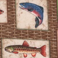 Take the Bait - Framed Fish on Rattan Background by Dan Morris