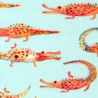 FISH-gators-CC640