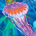 Colorful Jellyfish 