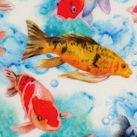 Koi Fish Watercolor
