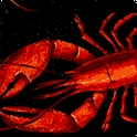 Bayshore Collection - Tossed Lobsters on Black- LTD. YARDAGE AVAILABLE (.83 YD.) MUST BE PURCHASED I