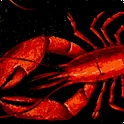 FISH-lobster-P390