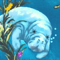 Manatees at Home with Friends