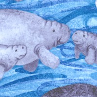 Precious Manatees by Debbie Hron