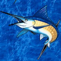 Tossed Sailfish on Ocean Blue