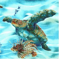 North American Wildlife - Sea Turtles and Fish