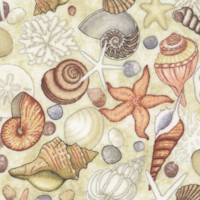 Ocean Oasis -Tossed Seashells on Beige by Dan Morris
