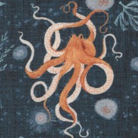 FISH-octopuses-R112