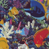 Four Seasons - Save Our Reefs By Art Licensing