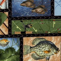 Keep it Reel - Fish and Fishing Equipment Collage 