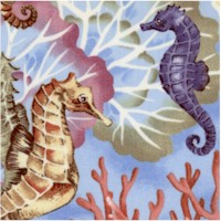 FISH-seahorses-Z247