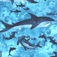 Ocean State - Small Scale Sharks 