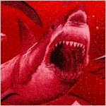 Dangerous Waters - Real Sharks Up Close #1 - BACK IN STOCK!