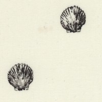 FISH-shells-AA351